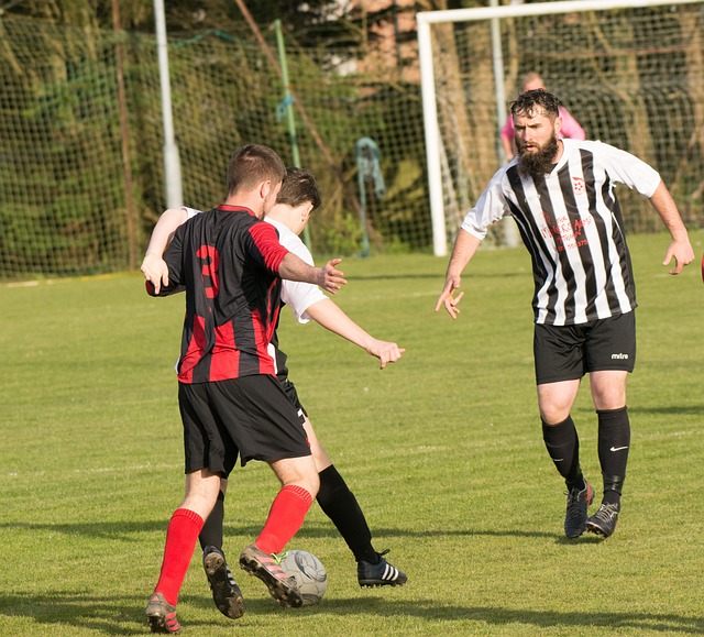 了一个值得 了一个值得