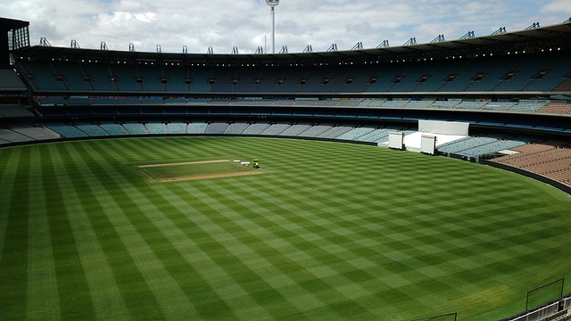 量內線球員 量內線球員