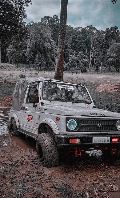 上升势头 上升势头