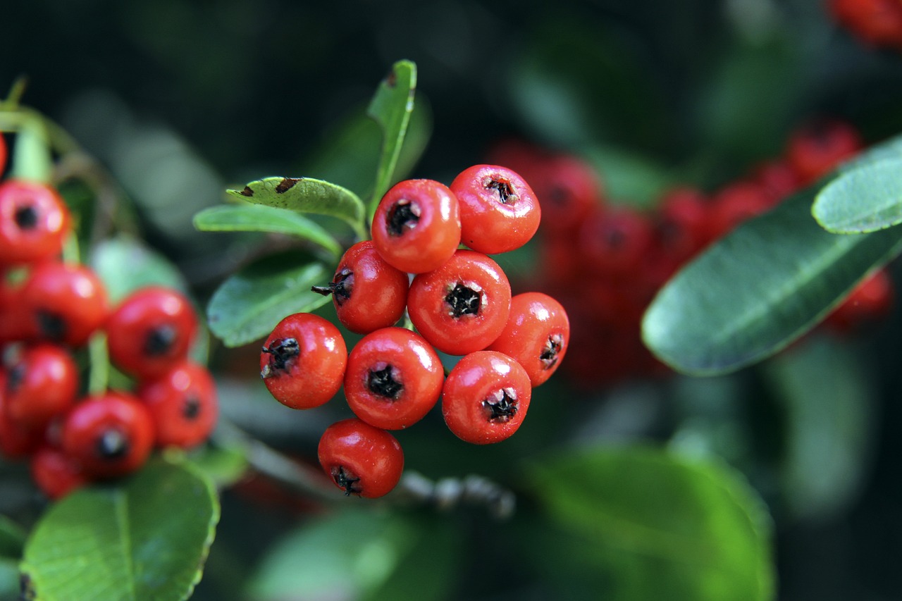 刺的过程中 刺的过程中