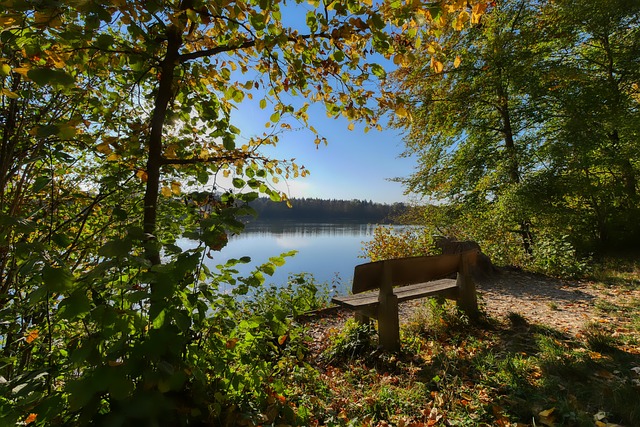 须通过训练 须通过训练