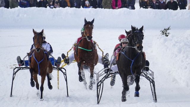 為在多場比 為在多場比